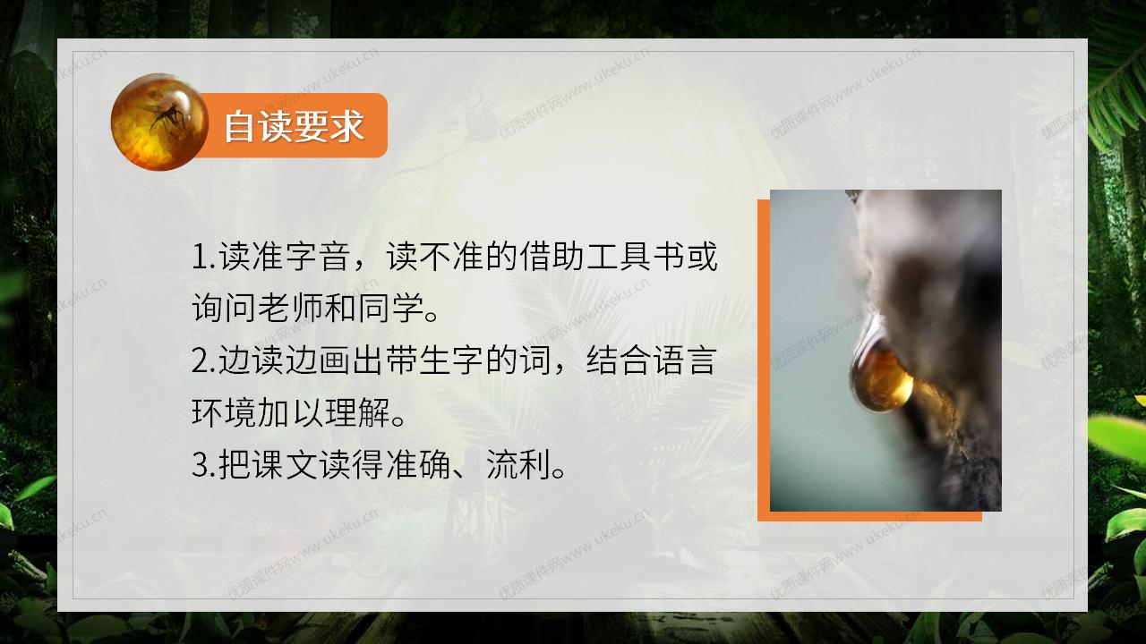 0405小学语文四年级下册《琥珀》1课时_05.jpg
