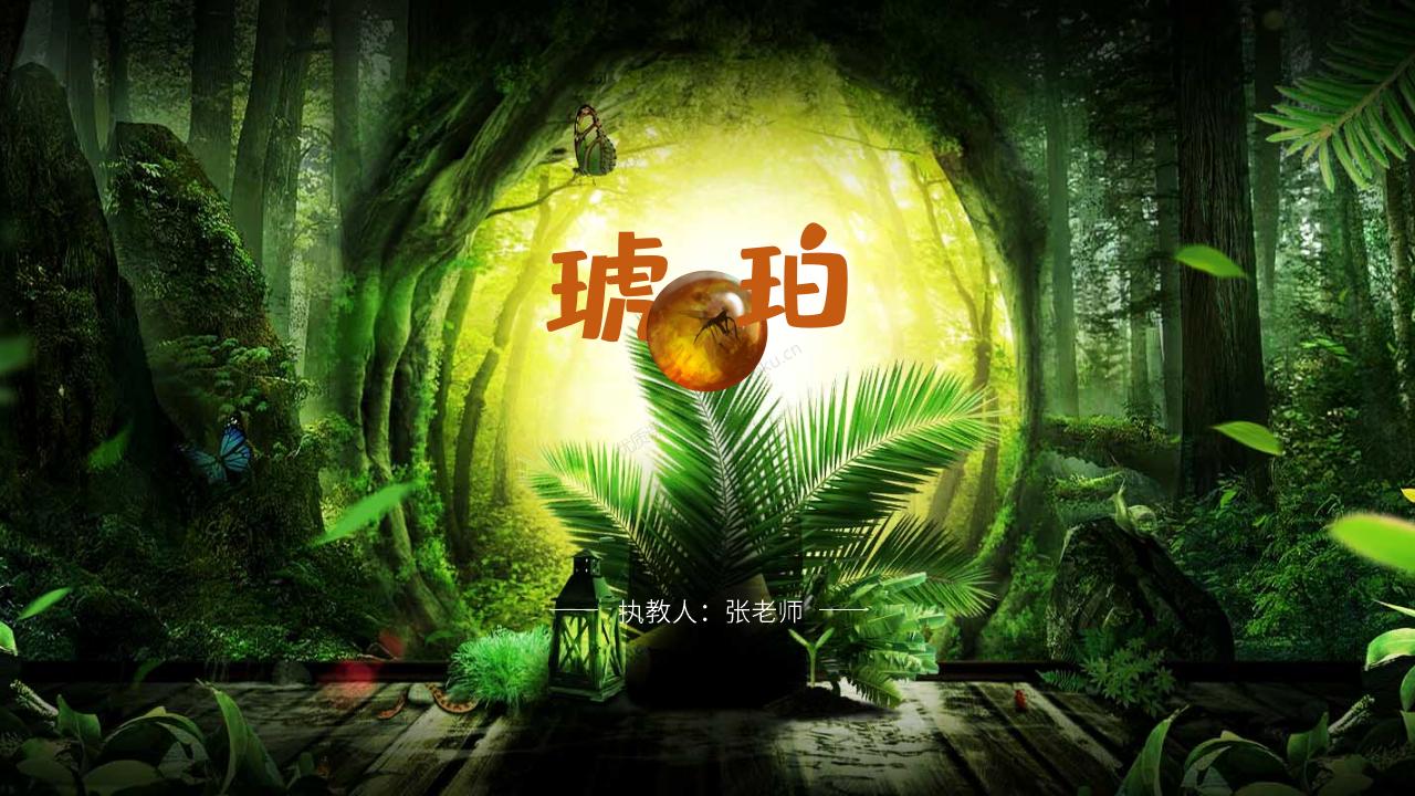 小学语文四年级下册第五课《琥珀》