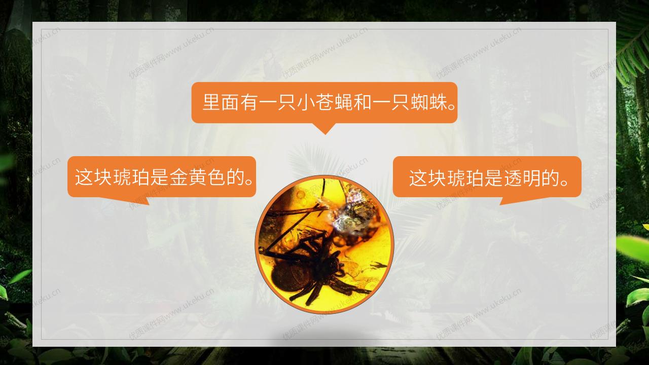 0405小学语文四年级下册《琥珀》1课时_12.jpg